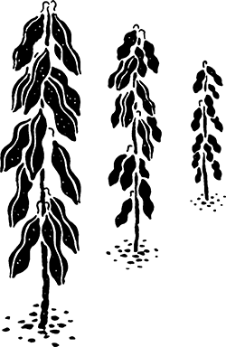 八天狗